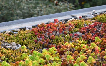 the cost of Gosford Green green roof installation