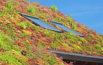 Gosford Green living roof systems